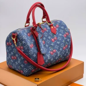 Сумка Louis Vuitton 6