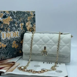 Сумка DIOR s-10
