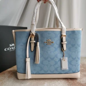 Сумками COACH 289