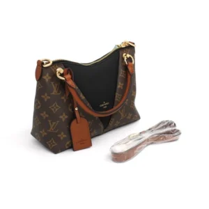 Louis Vuitton 6