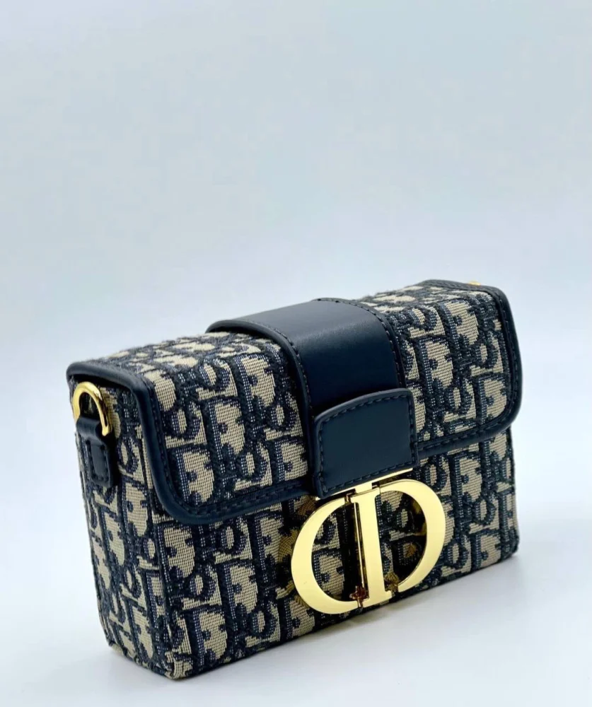 Сумка Dior 01-1 — Молочный, Черный — дополнительный вид