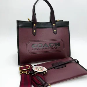 Сумка COACH 1_3