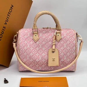 Louis Vuitton 300