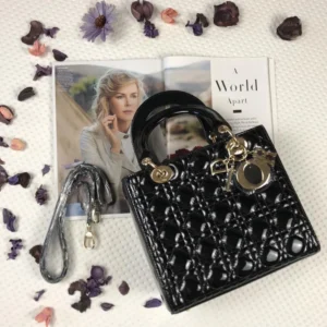 Сумка Dior mini 643-1