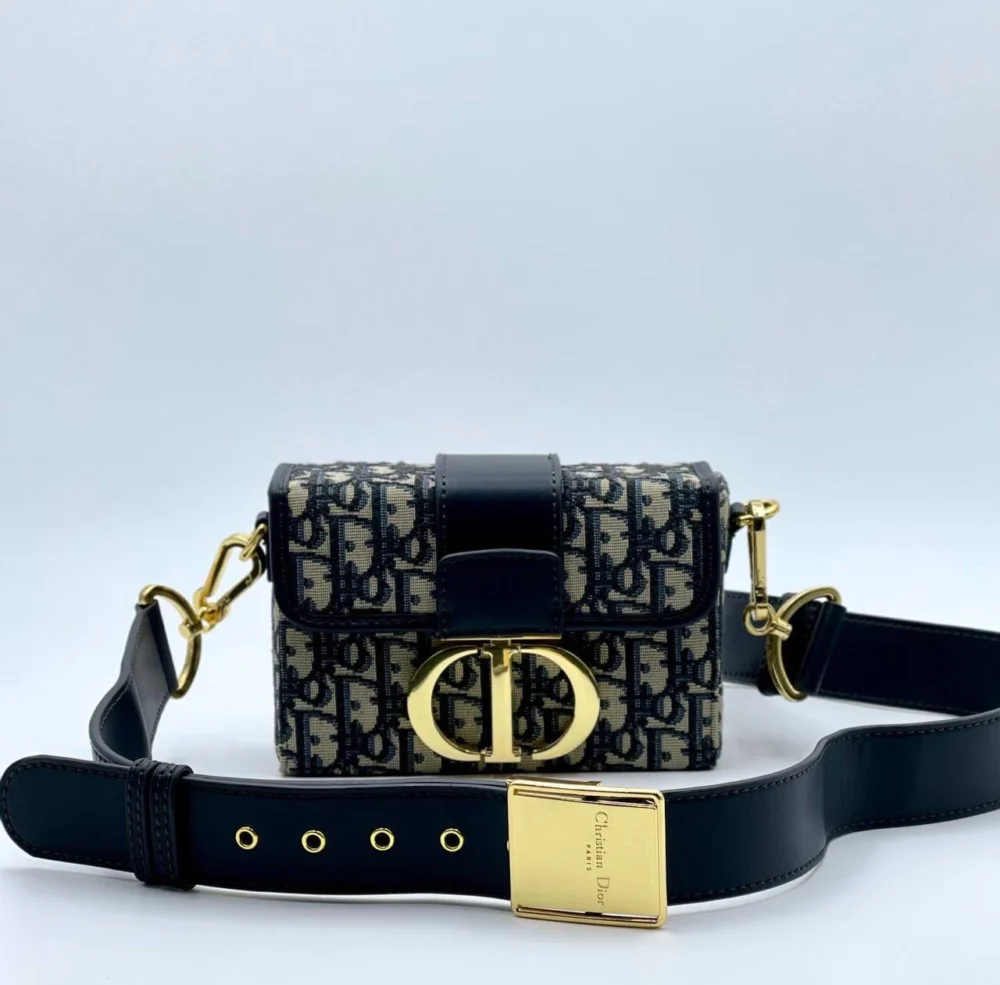 Сумка Dior 01-1 — Молочный, Черный — основной вид
