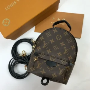 Рюкзак Louis Vuitton 6421